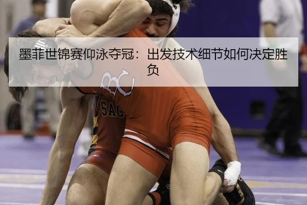 mo-fei-shi-jin-sai-yang-yong-duo-guan-chu-fa-ji-shu-xi-jie-ru-he-jue-ding-sheng-fu-2-129.jpg